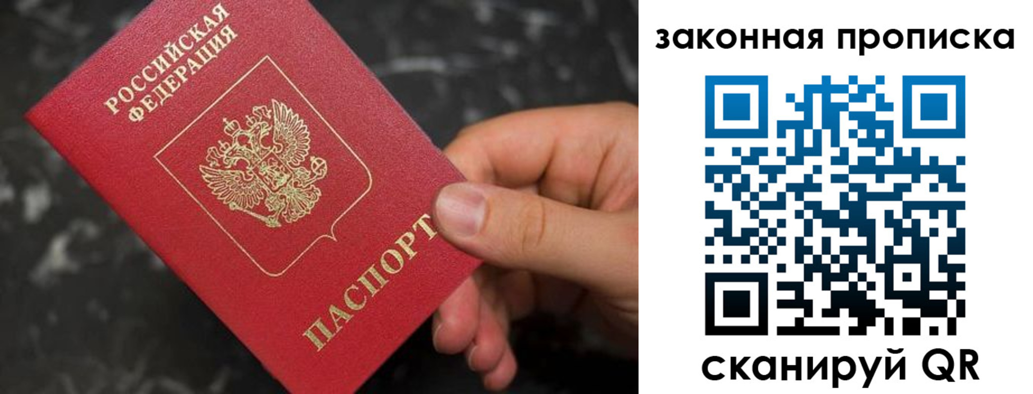 прописка в квартире в Зверево